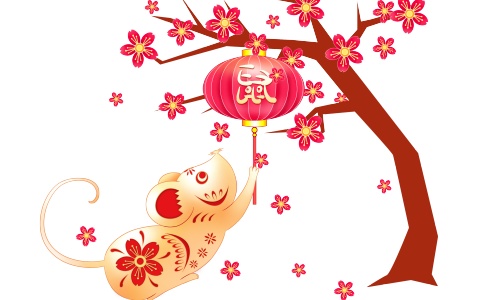王姓独特的名字属鼠-姓名测试网-鼠,