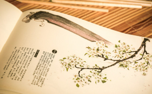 给宝宝取名字免费-尚名网-物品,